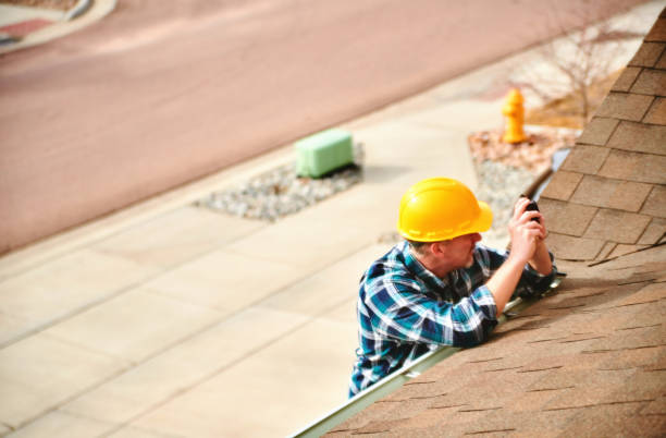 Best Roof Gutter Cleaning  in Posen, IL