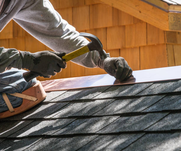 Roof Gutter Cleaning in Posen, IL